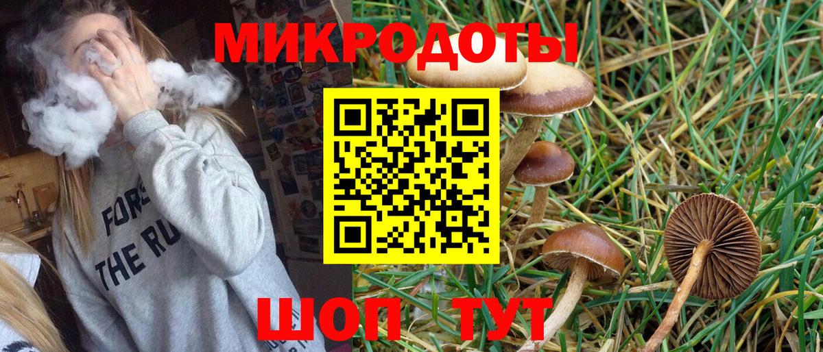 Георгиевск  Псилоцибиновые грибы Cubensis  Вход с VPN 