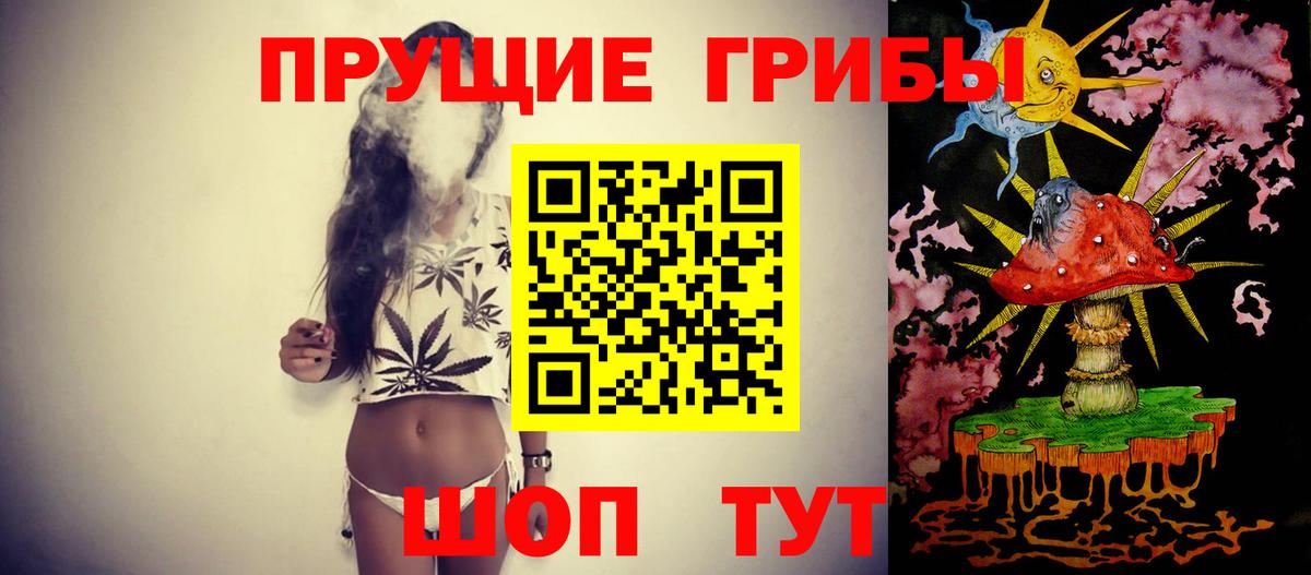 Галлюциногенные грибы MAGIC MUSHROOMS Георгиевск